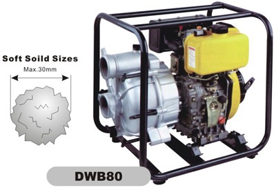 4T Diesel DWB80